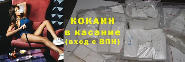 стаф Арсеньев