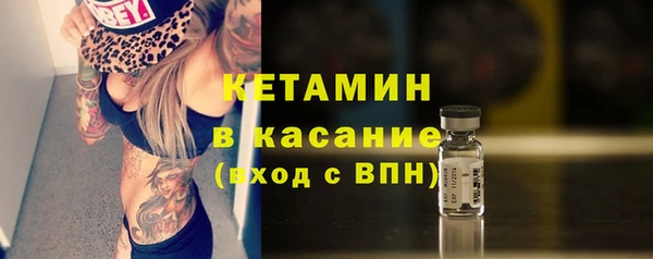 стаф Арсеньев