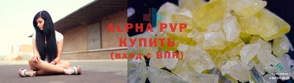 сатива Аркадак