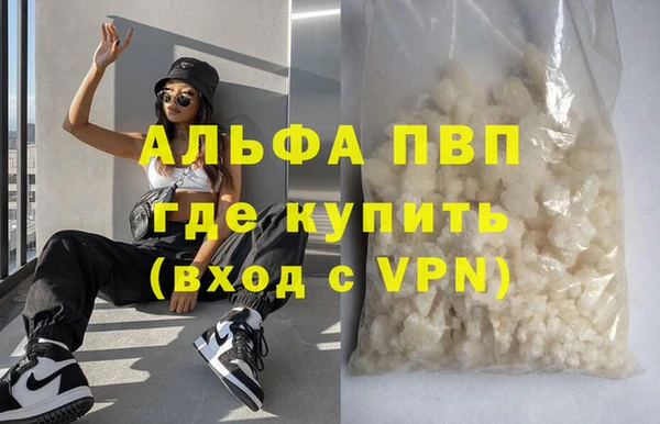 сатива Аркадак