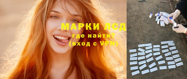 сатива Аркадак